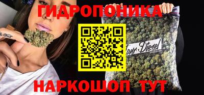 скорость Будённовск