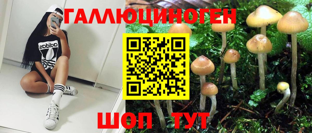 Галлюциногенные грибы Cubensis Шадринск