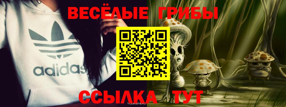 Шадринск  где найти наркотики  Вход с VPN  Псилоцибиновые грибы Cubensis 